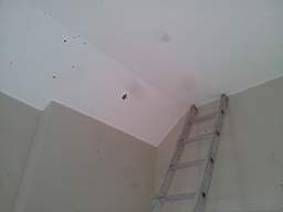 fkillineybeforeinternal 1020.jpg